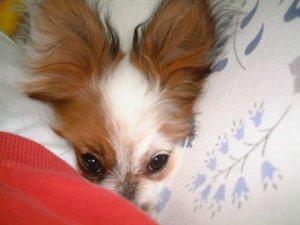 �}�W�Ŗ������́I�I